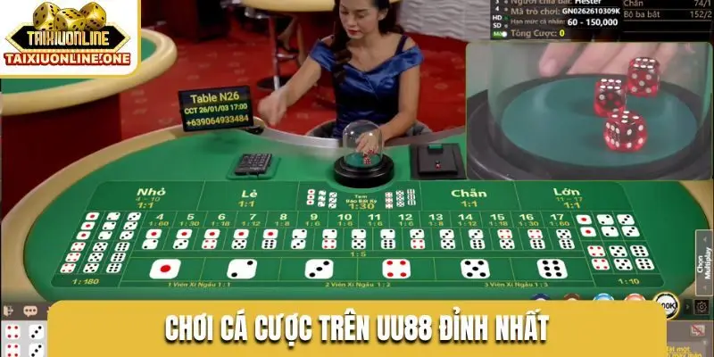 choi ca cuoc tren uu88 dinh nhat Chơi cá cược trên UU88 đỉnh nhất